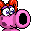 Birdo Hype