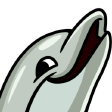 Dolphin Pun