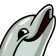 Dolphin Pun