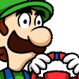 Luigi Steer